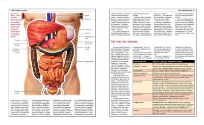 Анатомический атлас. Основы строения и физиологии человека